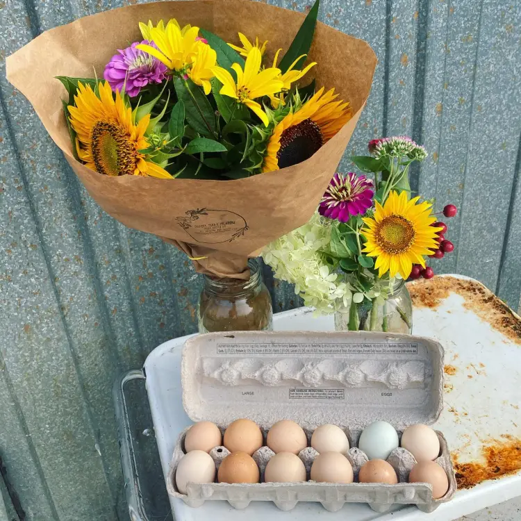 Dried Flower Bunch-Statice White – Sunny Meadows Flower Farm