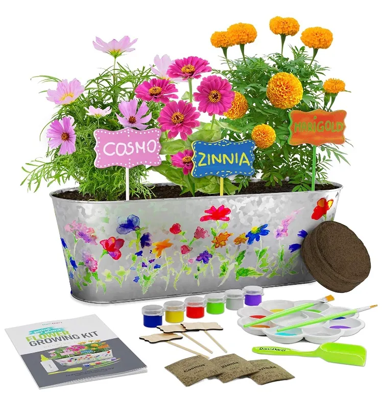 paint and plant flower kit